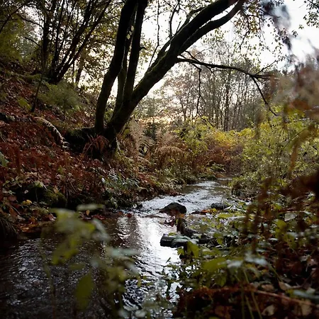 펜션 Sleep Space 34 - Tiny Village Harz