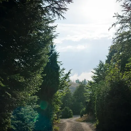 Sleep Space 34 - Tiny Village Harz Osterode am Harz